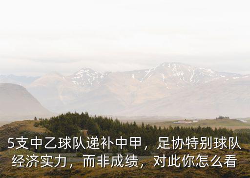 5支中乙球隊遞補中甲，足協特別球隊經濟實力，而非成績，對此你怎么看