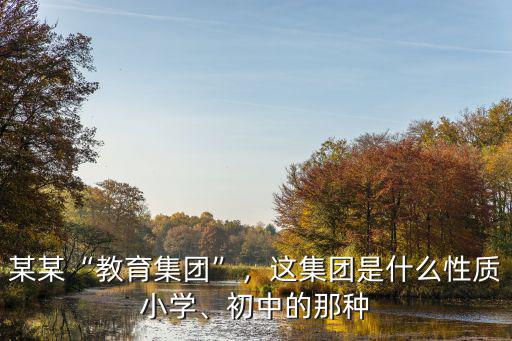 某某“教育集團(tuán)”，這集團(tuán)是什么性質(zhì)小學(xué)、初中的那種