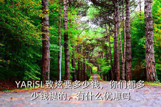 泰安致炫優(yōu)惠多少錢,YARiSL致炫要多少錢
