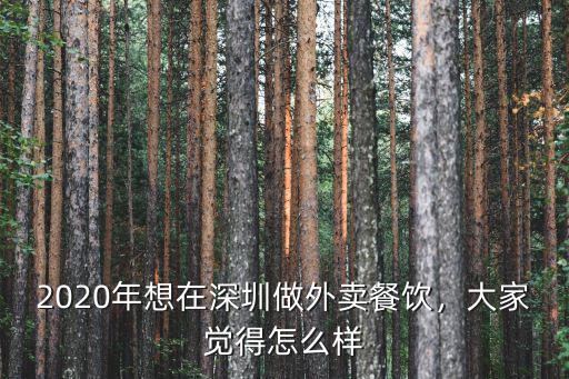 2020年想在深圳做外賣餐飲，大家覺得怎么樣