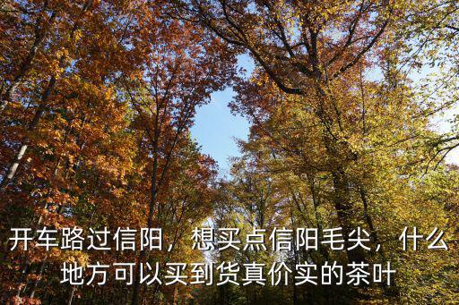開車路過信陽，想買點(diǎn)信陽毛尖，什么地方可以買到貨真價(jià)實(shí)的茶葉