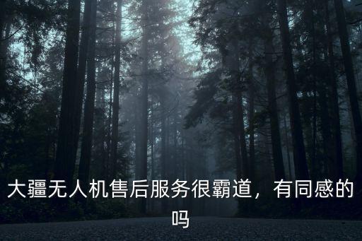 深圳郵寄大疆無人機多少錢,一臺無人機的成本有多少