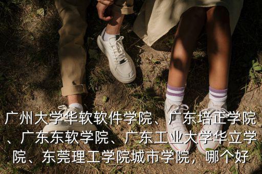廣州大學(xué)華軟軟件學(xué)院、廣東培正學(xué)院、廣東東軟學(xué)院、廣東工業(yè)大學(xué)華立學(xué)院、東莞理工學(xué)院城市學(xué)院，哪個(gè)好