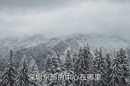 深圳森樹(shù)強(qiáng)在哪里,深圳東部的中心在哪里