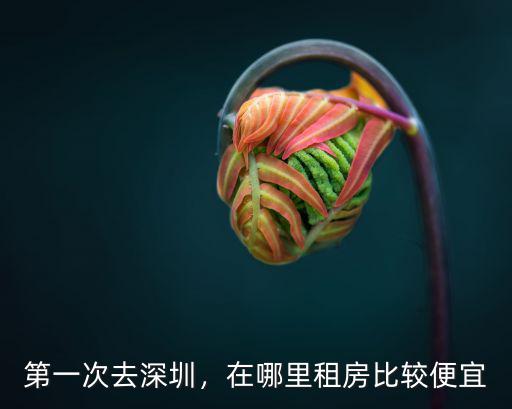 深圳租房在哪里便宜,第一次去深圳