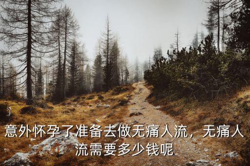 泰安正規(guī)醫(yī)院的無痛人流多少錢,意外懷孕了準(zhǔn)備去做無痛人流