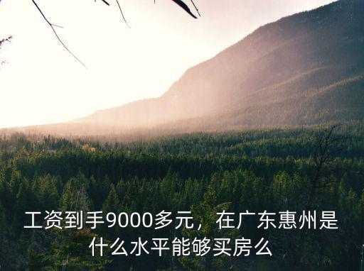 工資到手9000多元，在廣東惠州是什么水平能夠買房么