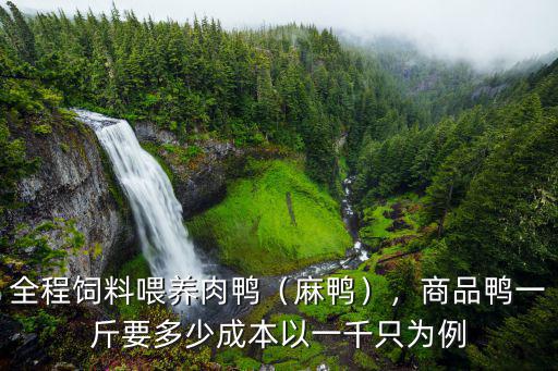 全程飼料喂養肉鴨（麻鴨），商品鴨一斤要多少成本以一千只為例