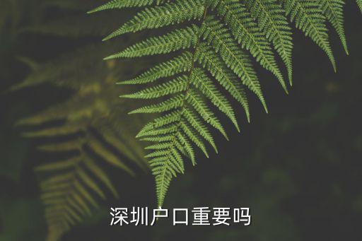 拿個深圳戶口怎么樣,入戶深圳戶口有哪些優勢
