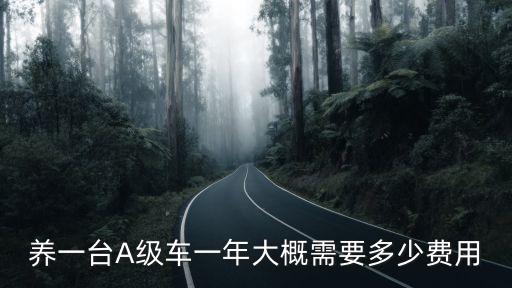 在廣州養(yǎng)一臺(tái)車(chē)一年要多少錢(qián),養(yǎng)一年奧迪A4L要多少錢(qián)
