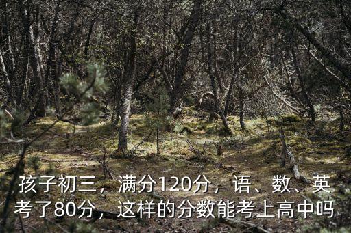 孩子初三，滿分120分，語、數(shù)、英考了80分，這樣的分?jǐn)?shù)能考上高中嗎