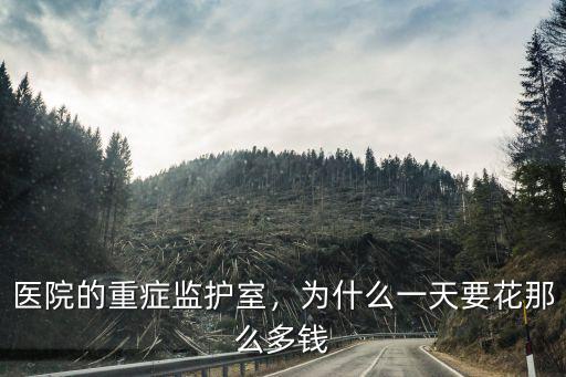 濰坊人民醫(yī)院重癥監(jiān)護室一天多少錢,醫(yī)院的重癥監(jiān)護室