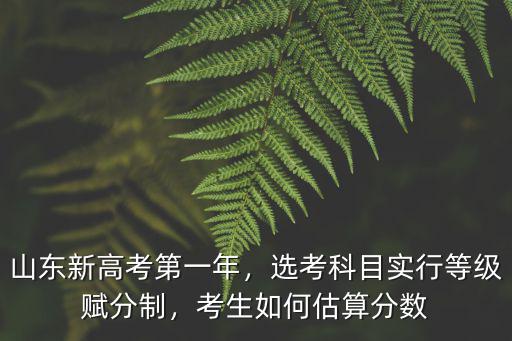 高考滿分是多少2020山東,山東新高考第一年