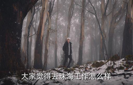 大家覺(jué)得去珠海工作怎么樣
