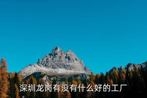 深圳龍崗有沒有什么好的工廠