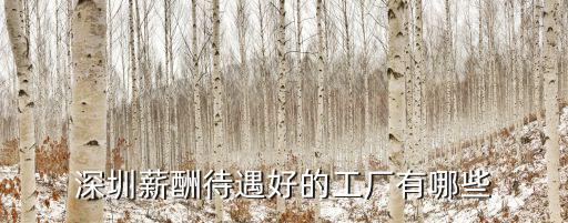 深圳有多少康佳電子廠,深圳有什么比較好的電子廠