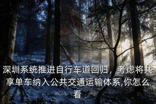 深圳系統推進自行車道回歸，考慮將共享單車納入公共交通運輸體系,你怎么看