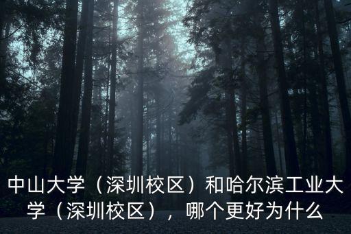 中山大學(xué)（深圳校區(qū)）和哈爾濱工業(yè)大學(xué)（深圳校區(qū)），哪個(gè)更好為什么