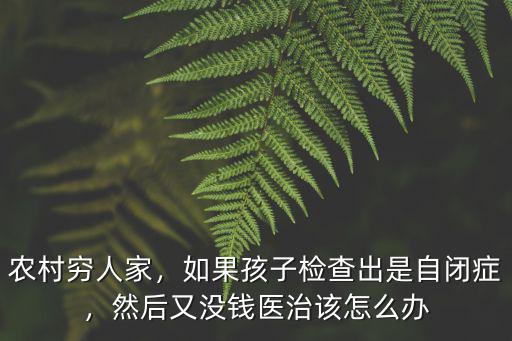 農(nóng)村窮人家，如果孩子檢查出是自閉癥，然后又沒錢醫(yī)治該怎么辦