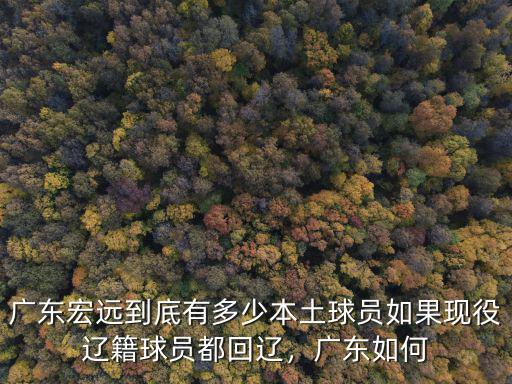 廣東有多少本土cba球員,廣東宏遠(yuǎn)到底有多少本土球員