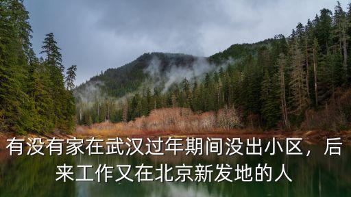 有沒有家在武漢過年期間沒出小區，后來工作又在北京新發地的人