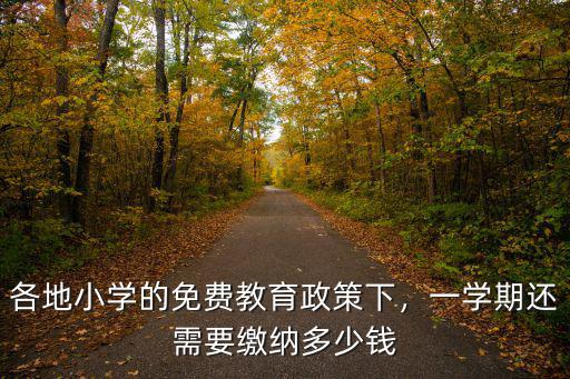 深圳小學多少錢一學期,在深圳上民辦小學