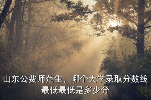 菏澤學(xué)院2019公費(fèi)師范生最低分?jǐn)?shù)是多少,山東公費(fèi)師范生