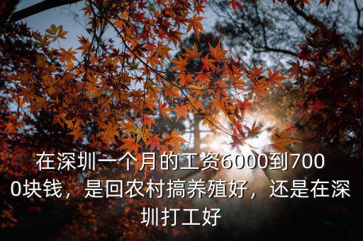 在深圳一個月的工資6000到7000塊錢，是回農村搞養殖好，還是在深圳打工好