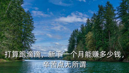 打算跑滴滴，新手一個月能賺多少錢，辛苦點無所謂