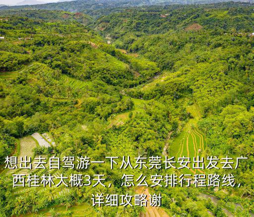 想出去自駕游一下從東莞長安出發去廣西桂林大概3天，怎么安排行程路線，詳細攻略謝