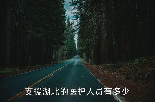 支援湖北的醫(yī)護人員有多少