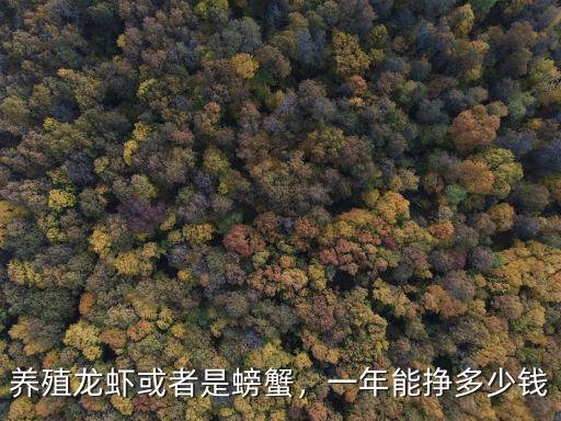 深圳龍蝦店一年賺多少錢,養殖龍蝦或者是螃蟹