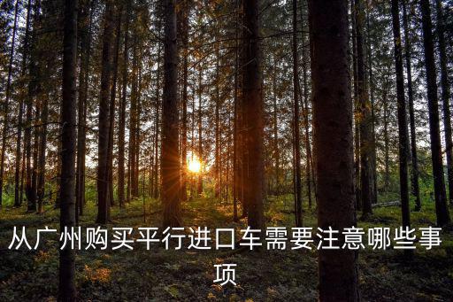 廣州哪里有汽車平行進(jìn)口車買,平行進(jìn)口車哪里的口碑最好