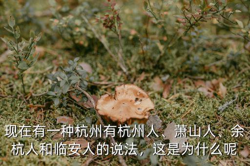 杭州的人口現(xiàn)在有多少,余杭人和臨安人的說法