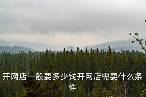 開網店一般要多少錢開網店需要什么條件