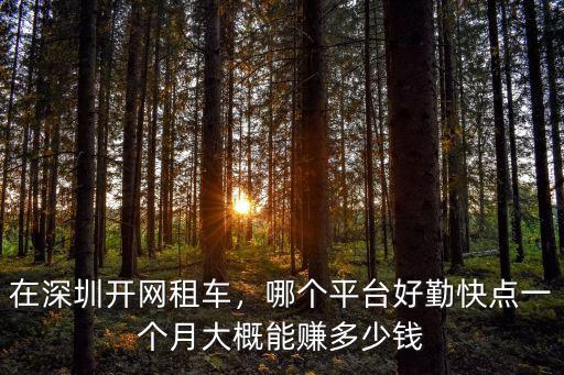 在深圳開網租車，哪個平臺好勤快點一個月大概能賺多少錢