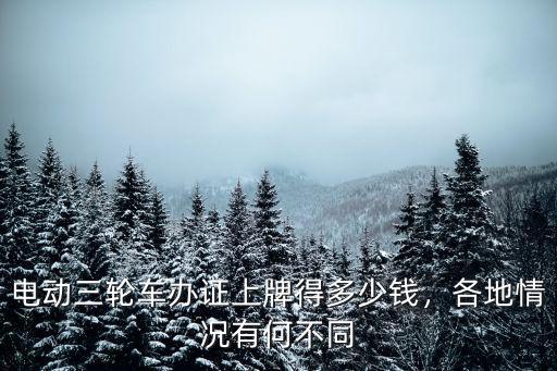 電動三輪車辦證上牌得多少錢，各地情況有何不同