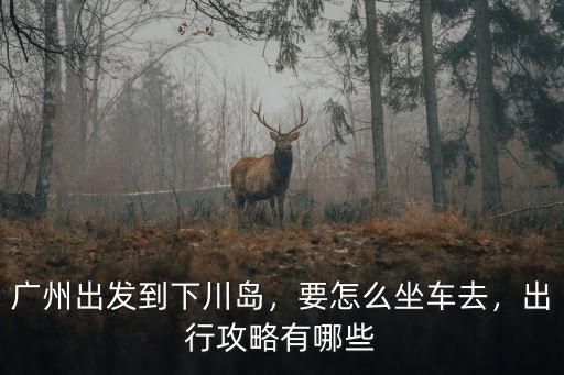 廣州出發(fā)上川島怎么去,廣州出發(fā)到下川島