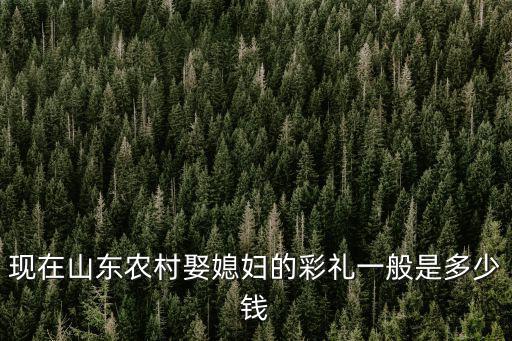 現在山東農村娶媳婦的彩禮一般是多少錢