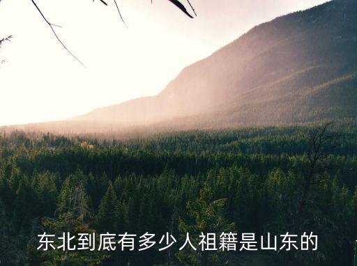 山東有多少張玉智,山東省有多少個地級市