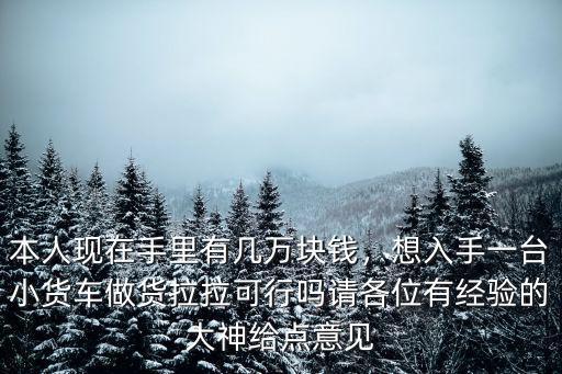 本人現在手里有幾萬塊錢，想入手一臺小貨車做貨拉拉可行嗎請各位有經驗的大神給點意見