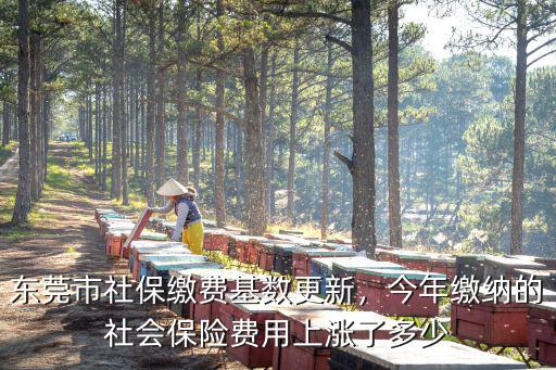 深圳今年社保漲了多少,深圳交滿15年社保