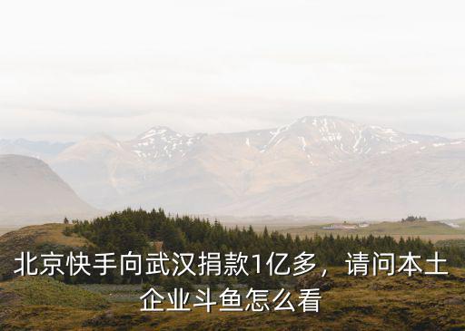 北京快手向武漢捐款1億多，請問本土企業(yè)斗魚怎么看