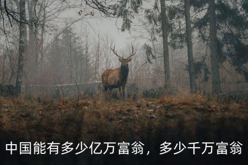 中國能有多少億萬富翁，多少千萬富翁