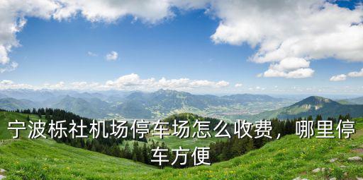 寧波櫟社機(jī)場停車收費(fèi)多少一天,寧波櫟社機(jī)場停車場怎么收費(fèi)