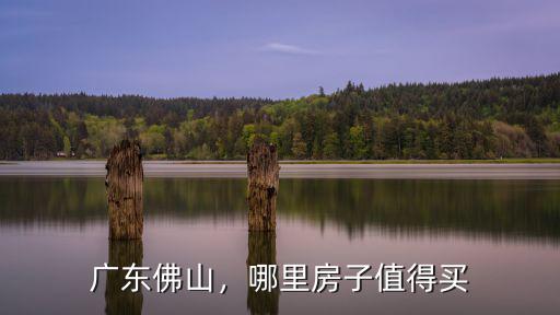 佛山市哪里偏僻哪里繁華,佛山哪里最窮
