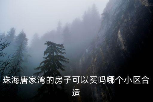 珠海唐家灣的房子可以買嗎哪個小區合適