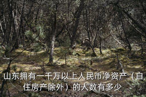 山東擁有一千萬以上人民幣凈資產（自住房產除外）的人數有多少