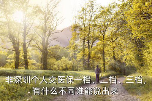 非深圳個人交醫保一檔、二檔、三檔，有什么不同誰能說出來