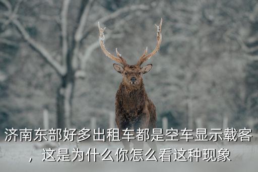 濟南出租車電話是多少,濟南出租車還能生存多久